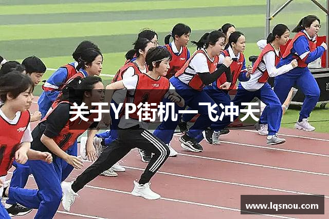 关于YP街机一飞冲天